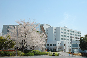東京情報大学