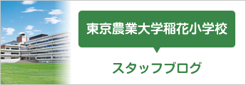 東京農業大学稲花小学校スタッフブログ